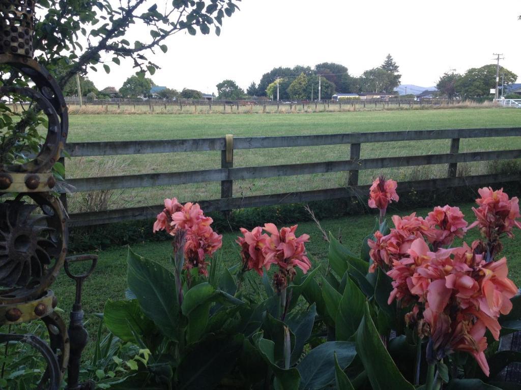 Blairgowrie House Bed & Breakfast Cambridge Bagian luar foto