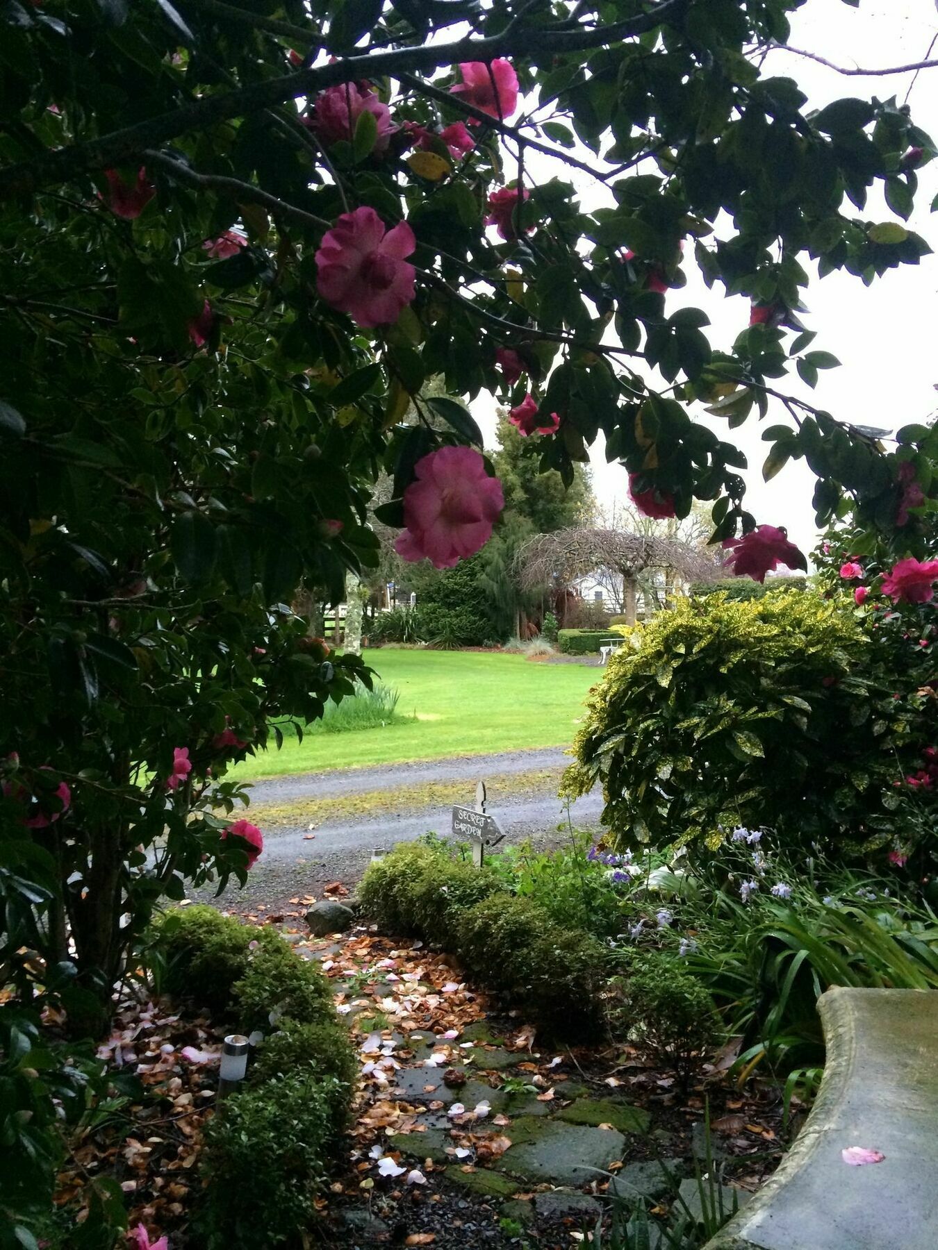 Blairgowrie House Bed & Breakfast Cambridge Bagian luar foto