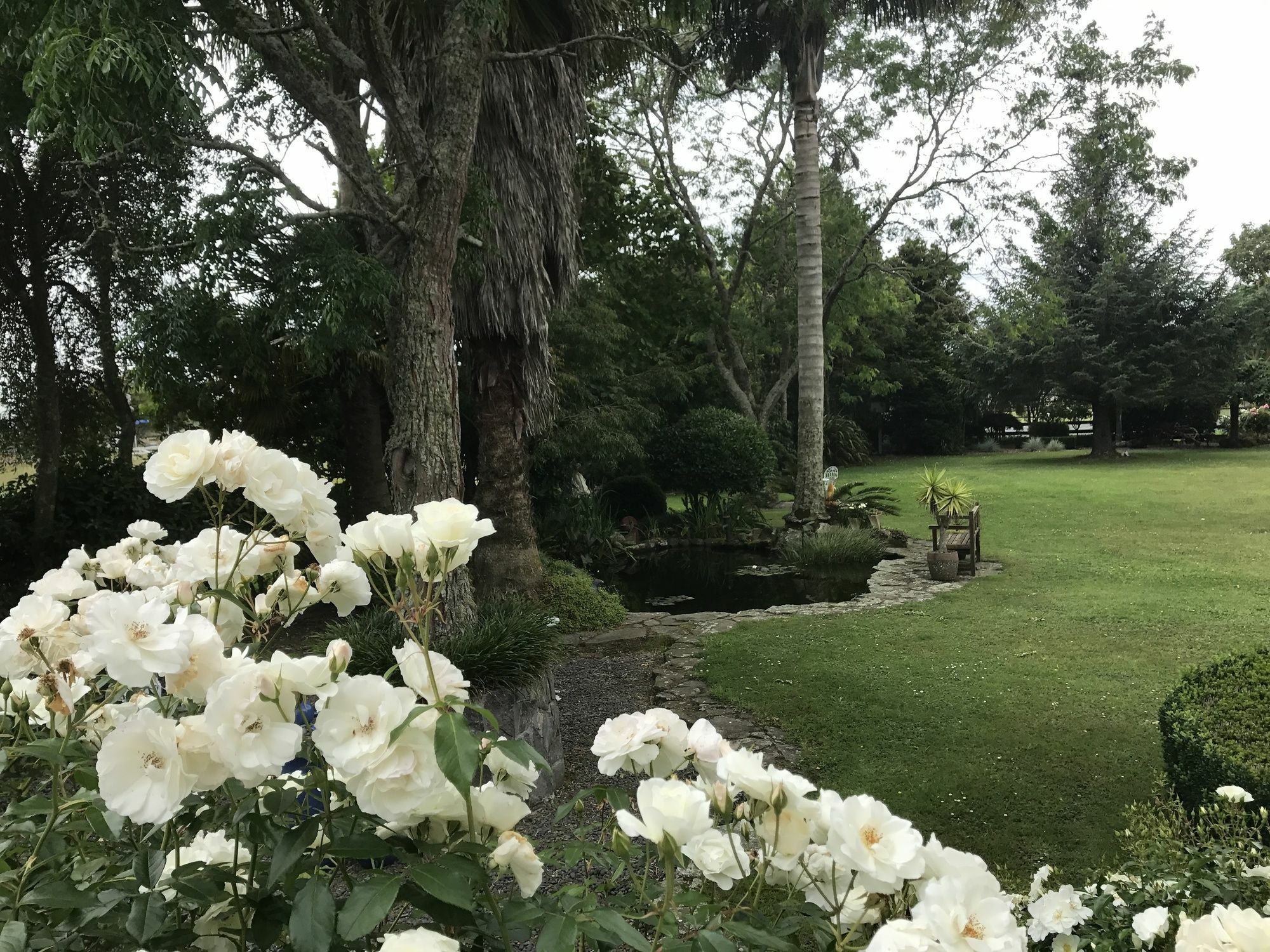Blairgowrie House Bed & Breakfast Cambridge Bagian luar foto