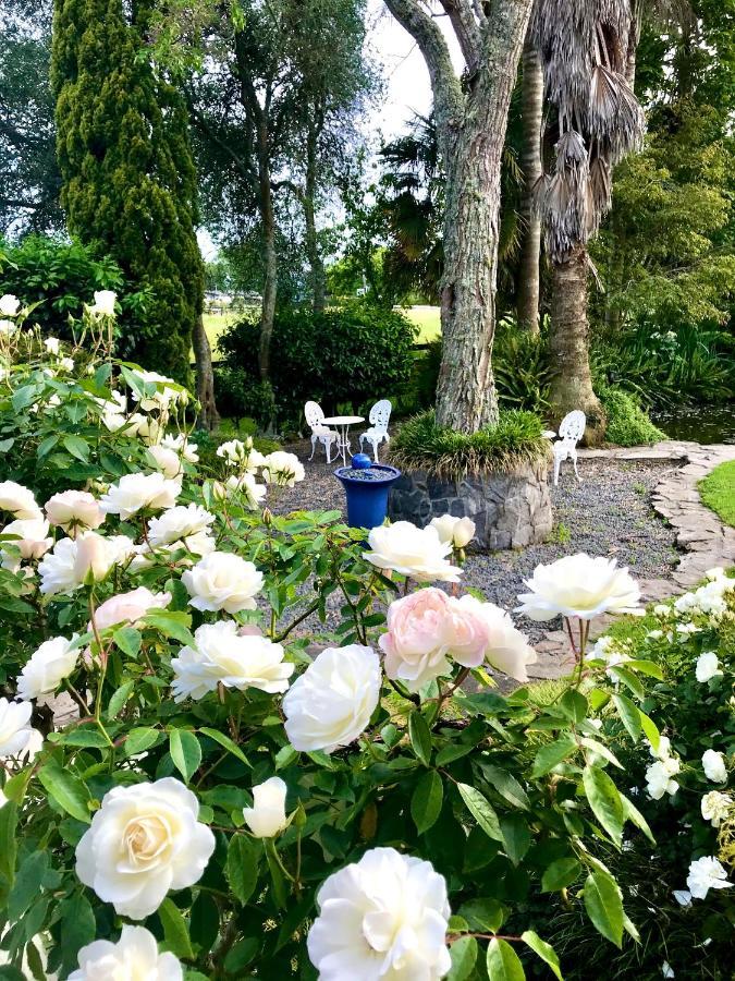 Blairgowrie House Bed & Breakfast Cambridge Bagian luar foto